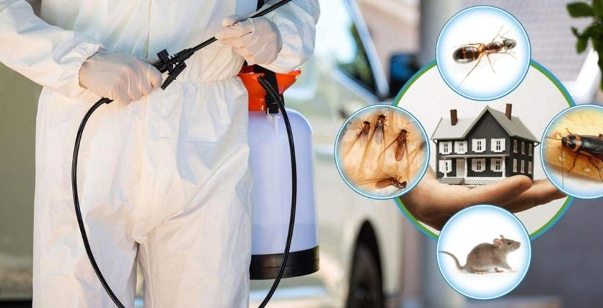 Marmaris Böcek İlaçlama