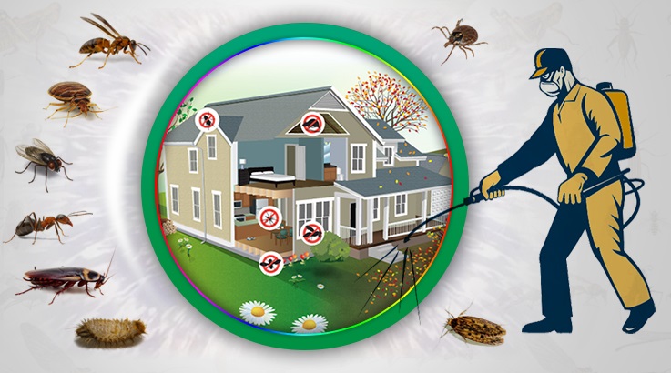 Marmaris Böcek İlaçlama